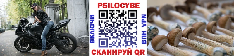 Псилоцибиновые грибы прущие грибы Апшеронск